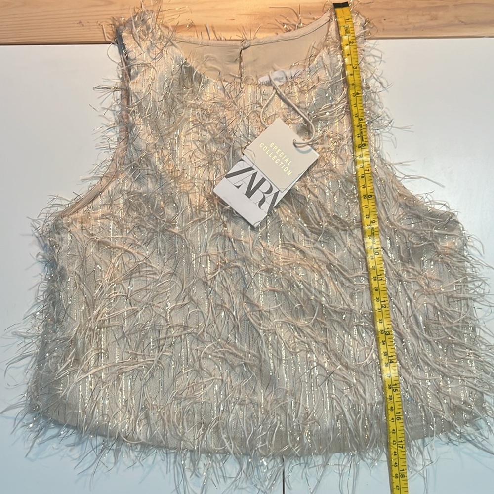 Zara Faux Feather Top ( EUC)